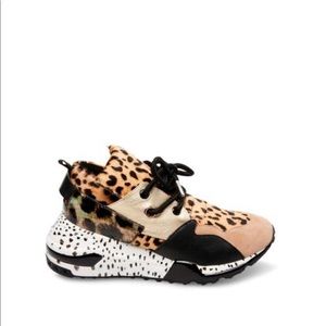Similar to  Steve M@dden Cliff Animal Sneakers